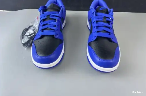 Low Blue and SB CU1726 Black Nike Dunk 006 0521